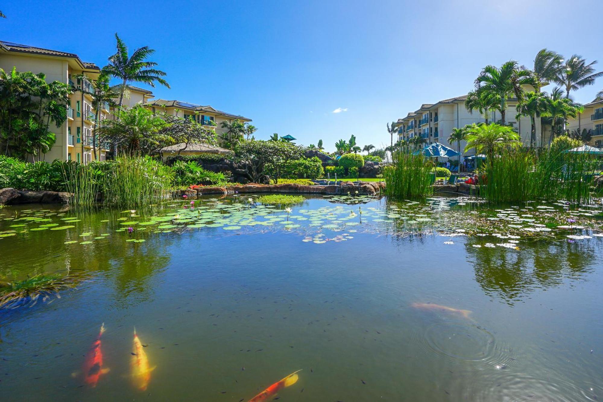 Waipouli Beach Resort Kapa'a Zimmer foto